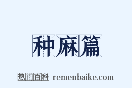 种麻篇是什么意思的图片